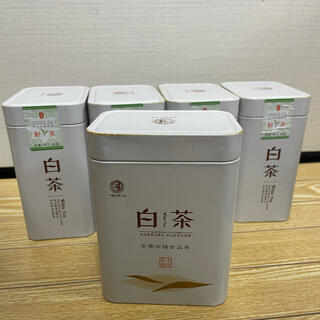 中国のお茶　白茶 ホワイトティー　white tea 5セット(茶)