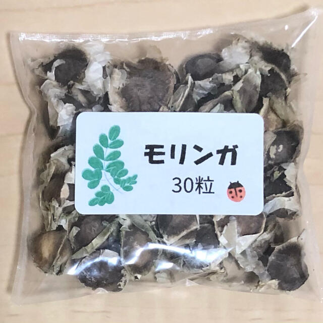 【スーパーフードの種子】奇跡の木 モリンガの種30粒 ハーブ タネ 美容健康 食品/飲料/酒の食品(野菜)の商品写真