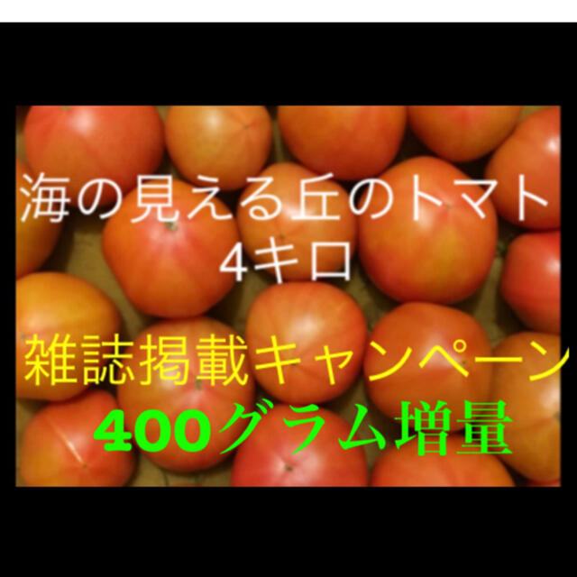 海の見える丘のトマト4キロ☆400グラム増量明日発送 食品/飲料/酒の食品(野菜)の商品写真