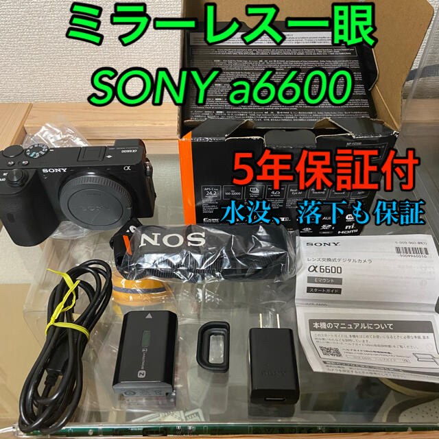 SONYミラーレス一眼 α6600 - ミラーレス一眼