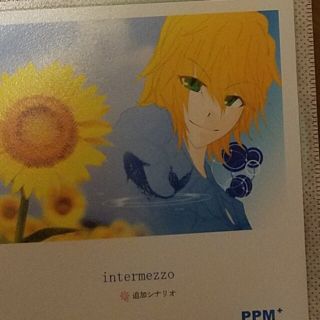 リボーン　同人ゲーム　乙女ゲーム　intermezzo　追加ディスク(PCゲームソフト)