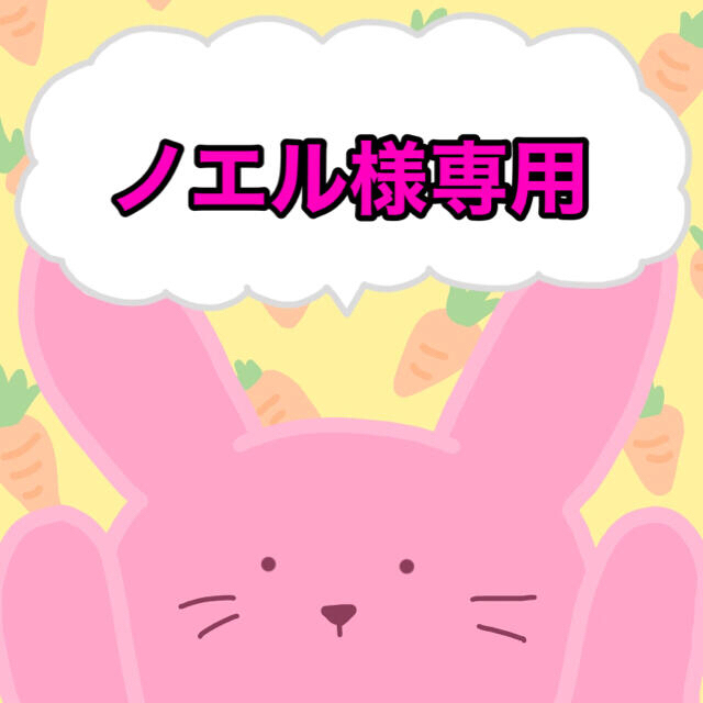 ノエル様専用 | usturology.ph