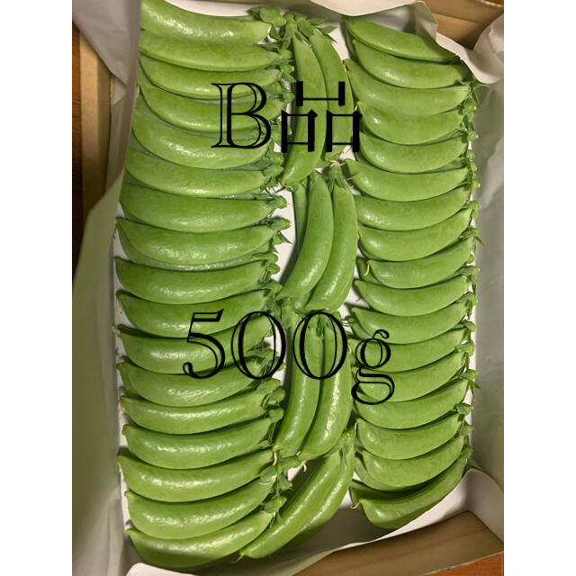 スナップエンドウ　B品　500g 食品/飲料/酒の食品(野菜)の商品写真