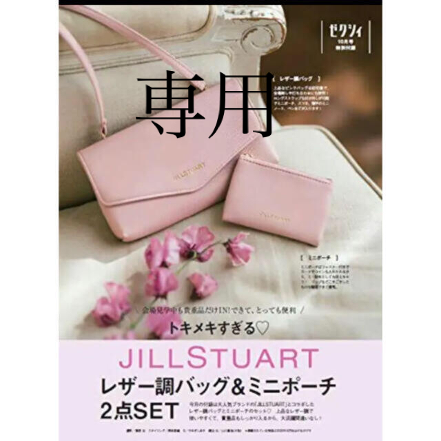 JILLSTUART(ジルスチュアート)のジルスチュアート　ポーチ レディースのファッション小物(ポーチ)の商品写真