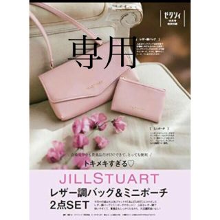 ジルスチュアート(JILLSTUART)のジルスチュアート　ポーチ(ポーチ)