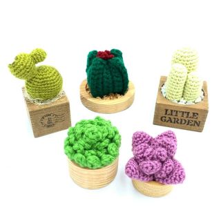 1637 Potted knitted cactus 5pots / 1(置物)