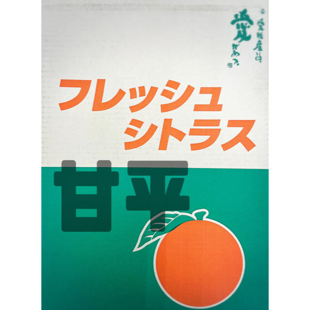 お買い得！！『JAうま』【甘平】青秀品　大玉5L(7玉) 3kg 食品/飲料/酒の食品(フルーツ)の商品写真