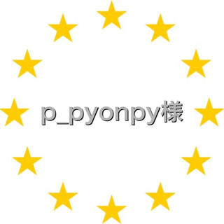カワダ(Kawada)のp_pyonpy様　専用　アイロンビーズ (各種パーツ)