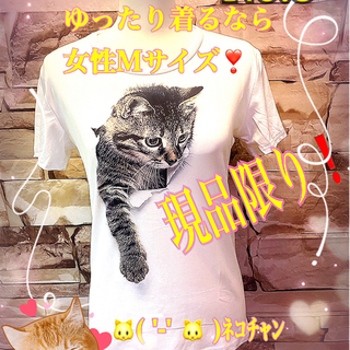 #猫のTシャツ  #レディス半袖   #Mサイズ(Tシャツ(半袖/袖なし))