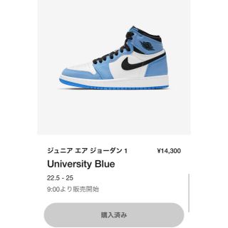 ナイキ(NIKE)のNIKE エアジョーダン1 ユニバーシティ　ブルー(スニーカー)