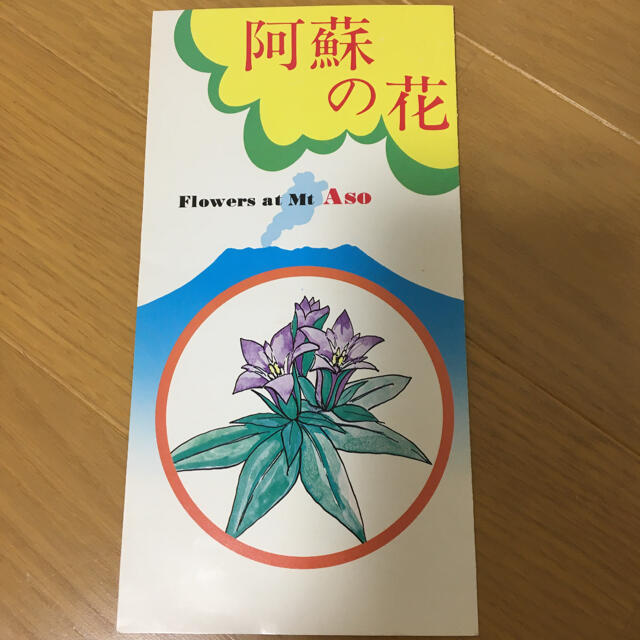 阿蘇の花 しおりの通販 By Okari のお店 ラクマ