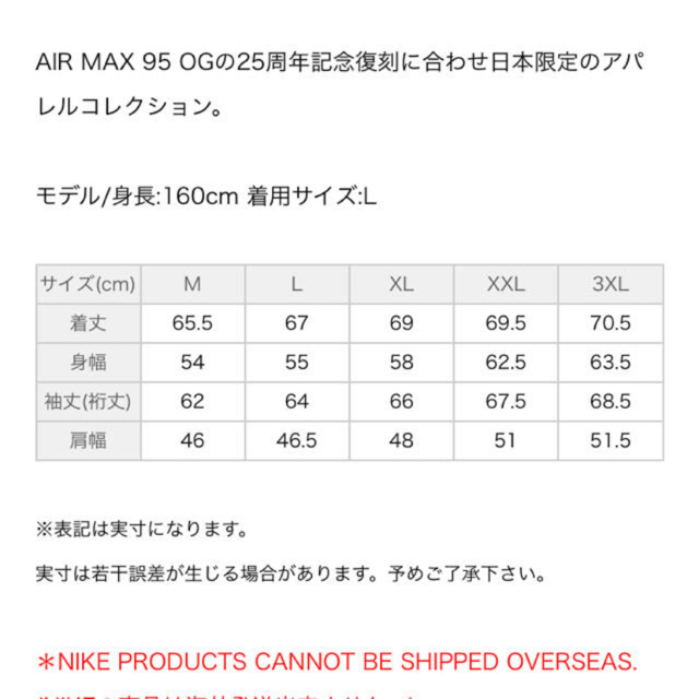 NIKE(ナイキ)のNIKE エアマックス95 フーディー　XL メンズのトップス(パーカー)の商品写真