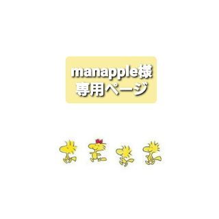 manapple様専用ページ(ピアス)