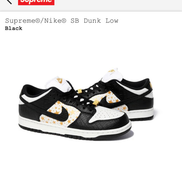 Supreme NIKE SB Dunk Low 27.5