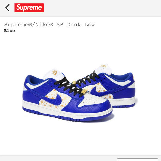 supreme NIKE SB DUNK LOW