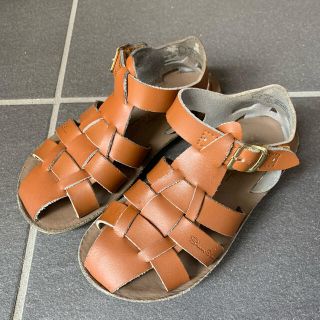 キャラメルベビー&チャイルド(Caramel baby&child )のsalt water sandals shark tan 11(18cm)(サンダル)