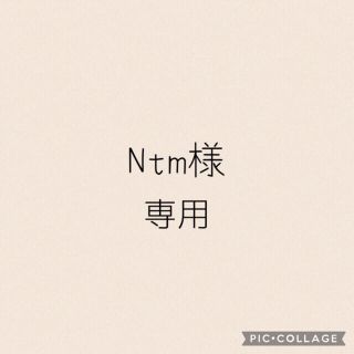 Ntm様　専用(おもちゃ/雑貨)