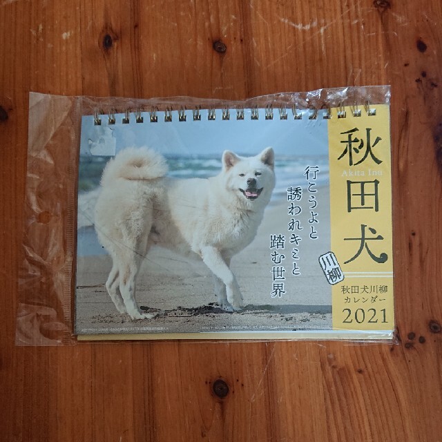 秋田犬未使用卓上川柳カレンダー21 ユニセックスの通販 By 18日まで規制掛かりコメ出来ません コレクター大歓迎 豊富なラインナップあり ラクマ