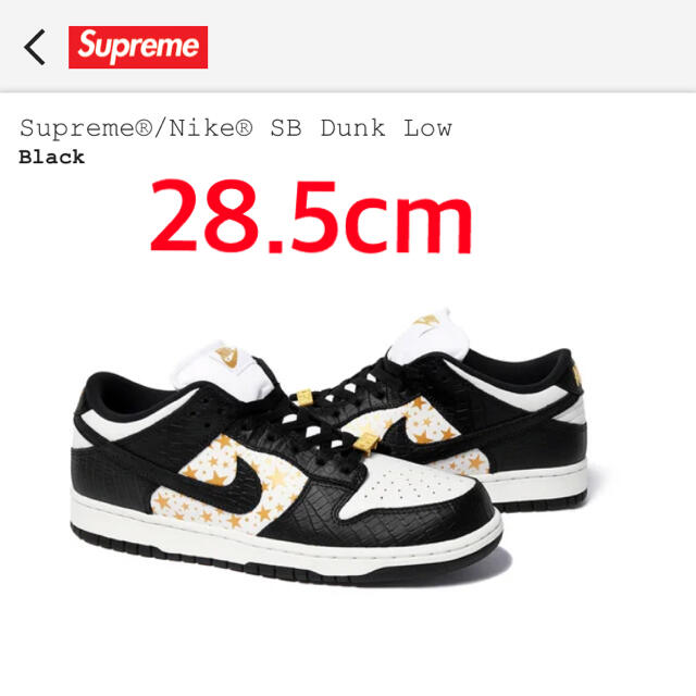 Supreme(シュプリーム)の新品未使用28.5cm Supreme®/Nike® SB Dunk Low  メンズの靴/シューズ(スニーカー)の商品写真