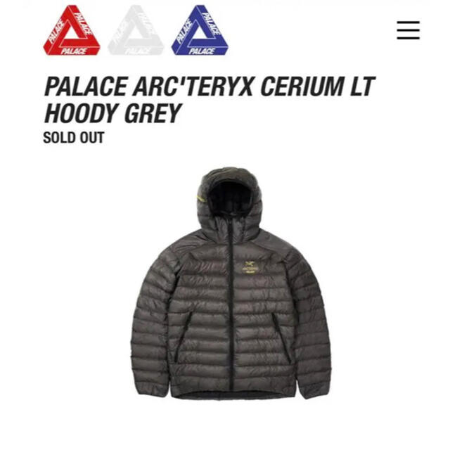 ARC'TERYX(アークテリクス)の【未使用品】Palace Arc’teryx Cerium LT Hoody メンズのジャケット/アウター(ダウンジャケット)の商品写真