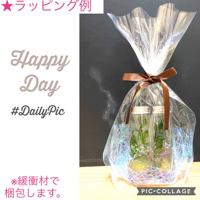 【仏花】〜お供えハーバリウム〜桃色小菊＆紫陽花 Mix♡2本セット♡S ハンドメイドのフラワー/ガーデン(プリザーブドフラワー)の商品写真