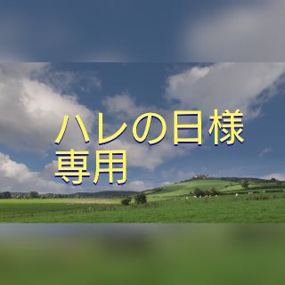 レモンジェリー レインシューズ【ダークグリーン】(レインブーツ/長靴)