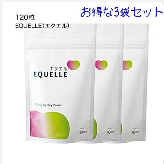 大塚製薬大塚製薬 エクエルパウチ 3袋セット - その他