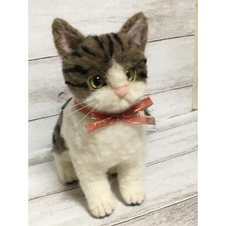 羊毛フェルト　きじ白猫　ミックス猫　雑種猫　˚✧₊⁎❝᷀ົཽ≀ˍ̮ (ぬいぐるみ)