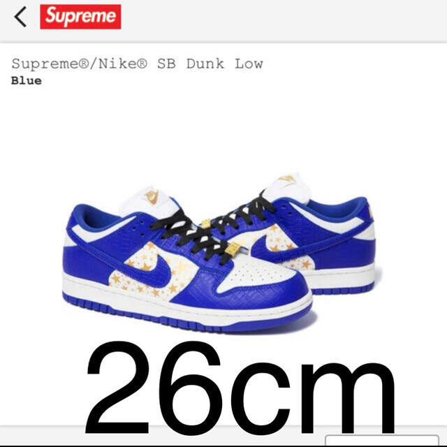 Supreme(シュプリーム)のSupreme × Nike SB Dunk Low メンズの靴/シューズ(スニーカー)の商品写真