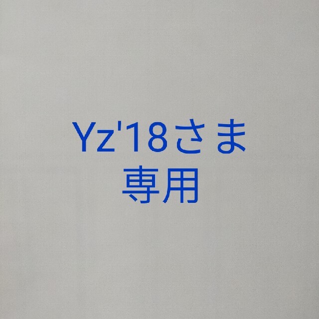 東洋テーラー×ジャーナルスタンダード 別注 スカジャン