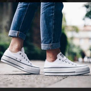 converse チャックテイラー 25.0cm