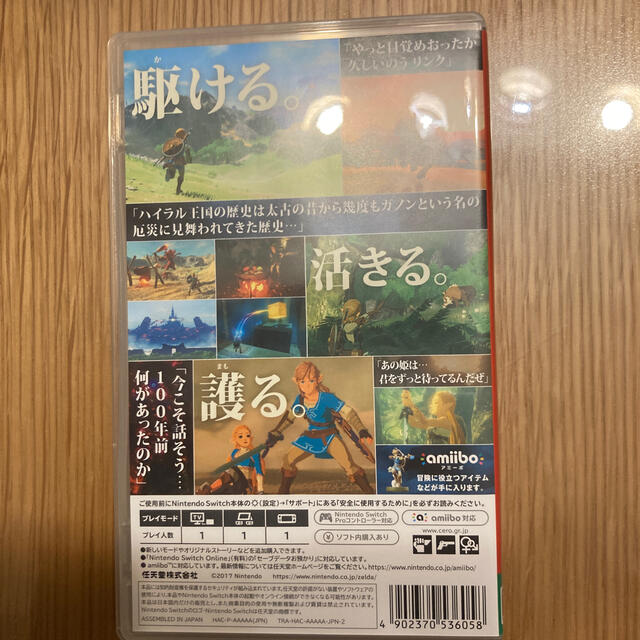 ゼルダの伝説 ブレス オブ ザ ワイルド Switch 1