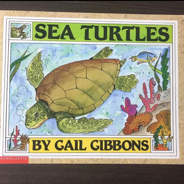 Sea Turtles 英語絵本 洋書の通販 By リン S Shop ラクマ