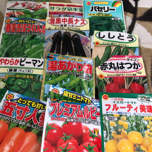 夏野菜　種子セット　12種類　小分け ハンドメイドのフラワー/ガーデン(その他)の商品写真