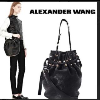 アレキサンダーワン(Alexander Wang)のalexander wang diego 2way バッグ　ディエゴ(ショルダーバッグ)