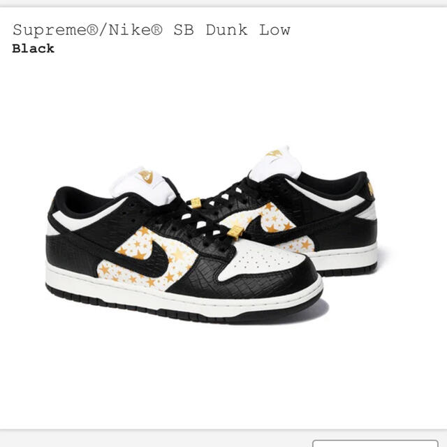 込　28 Supreme Nike  SB Dunk Low  black