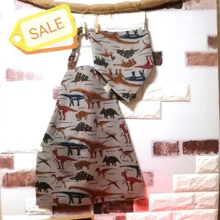 人気再販★110〜130cm相当★恐竜図鑑★簡単子供エプロン＆三角巾セット★(ファッション雑貨)