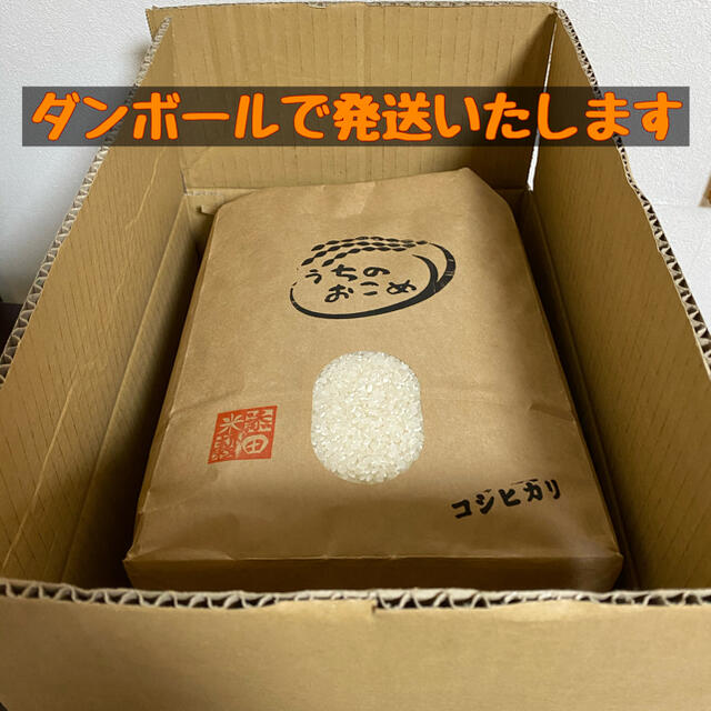 令和3年 栃木県産 選べる 白米で味比べセット【コシヒカリ・ミルキークイーン等】 食品/飲料/酒の食品(米/穀物)の商品写真