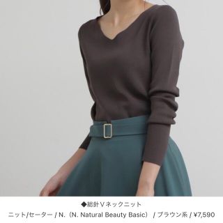 エヌナチュラルビューティーベーシック(N.Natural beauty basic)のN. 総針Vネックニット　ブラウン系(ニット/セーター)