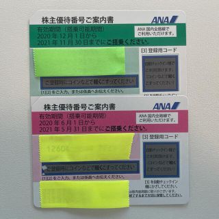 エーエヌエー(ゼンニッポンクウユ)(ANA(全日本空輸))のANA 株主優待券 2021/11/30まで 2枚(その他)