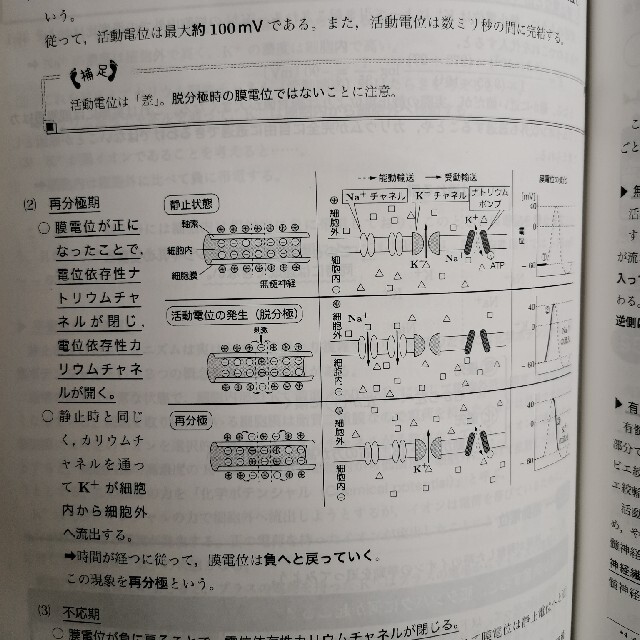 鉄緑会高3生物テキスト 最新版 - 語学/参考書