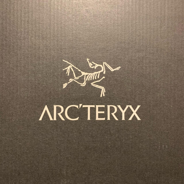 ARC'TERYX(アークテリクス)の【値下げ】アークテリクス　ゴアテックス　ローカットシューズ　26cm メンズの靴/シューズ(スニーカー)の商品写真