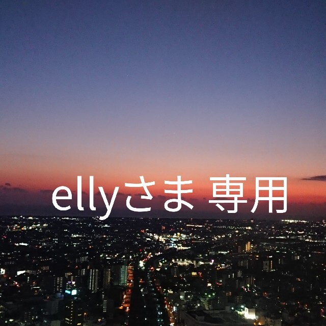 【ellyさま 専用】プラスチックボタン おまとめハンドメイド