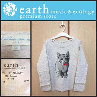 アースミュージックアンドエコロジー(earth music & ecology)のearth music&ecology 120 子猫 長袖tシャツ ライトグレー(Tシャツ/カットソー)