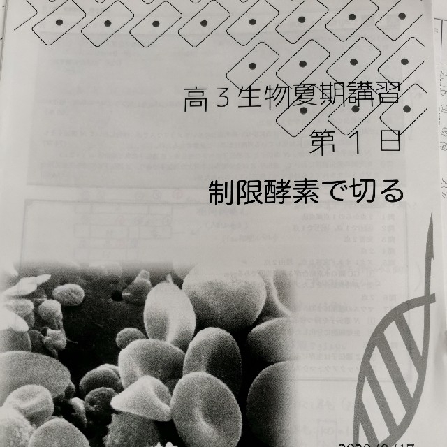 鉄緑会高3生物夏期講習 5日分 エンタメ/ホビーの本(語学/参考書)の商品写真