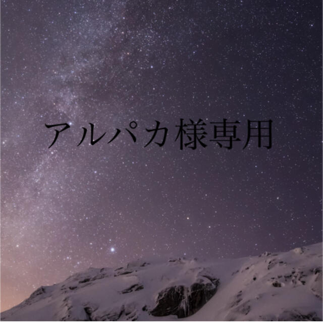 アルパカ様専用 3