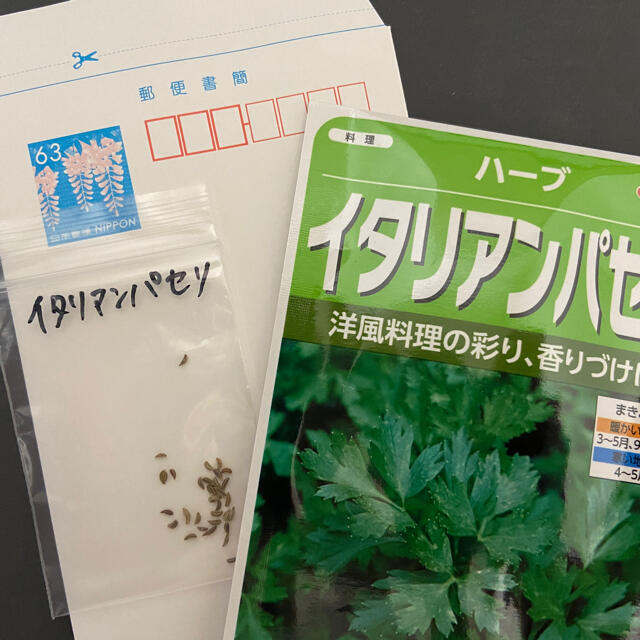 【プランター栽培】イタリアンパセリ30粒↗︎、バジル30粒↗︎、ルッコラ30粒 食品/飲料/酒の食品(野菜)の商品写真