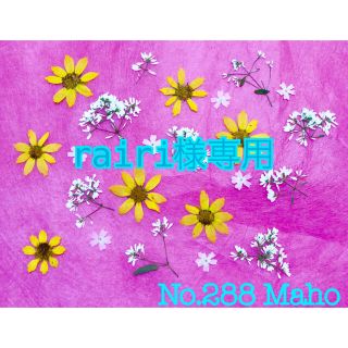 ♡rairi様専用♡押し花素材(各種パーツ)