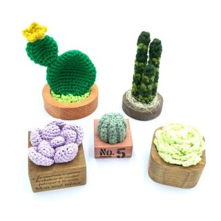 1635 Potted knitted cactus 5pots / 4(その他)