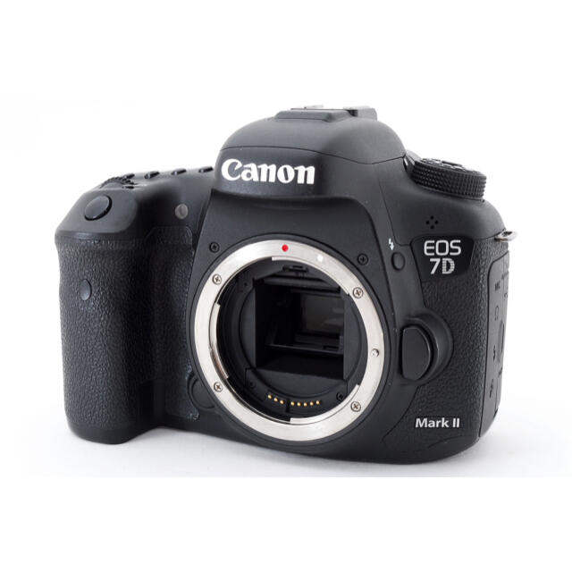 室外 キャノンCanon EOS 7D Mark II 標準&望遠&単焦点レンズセット
